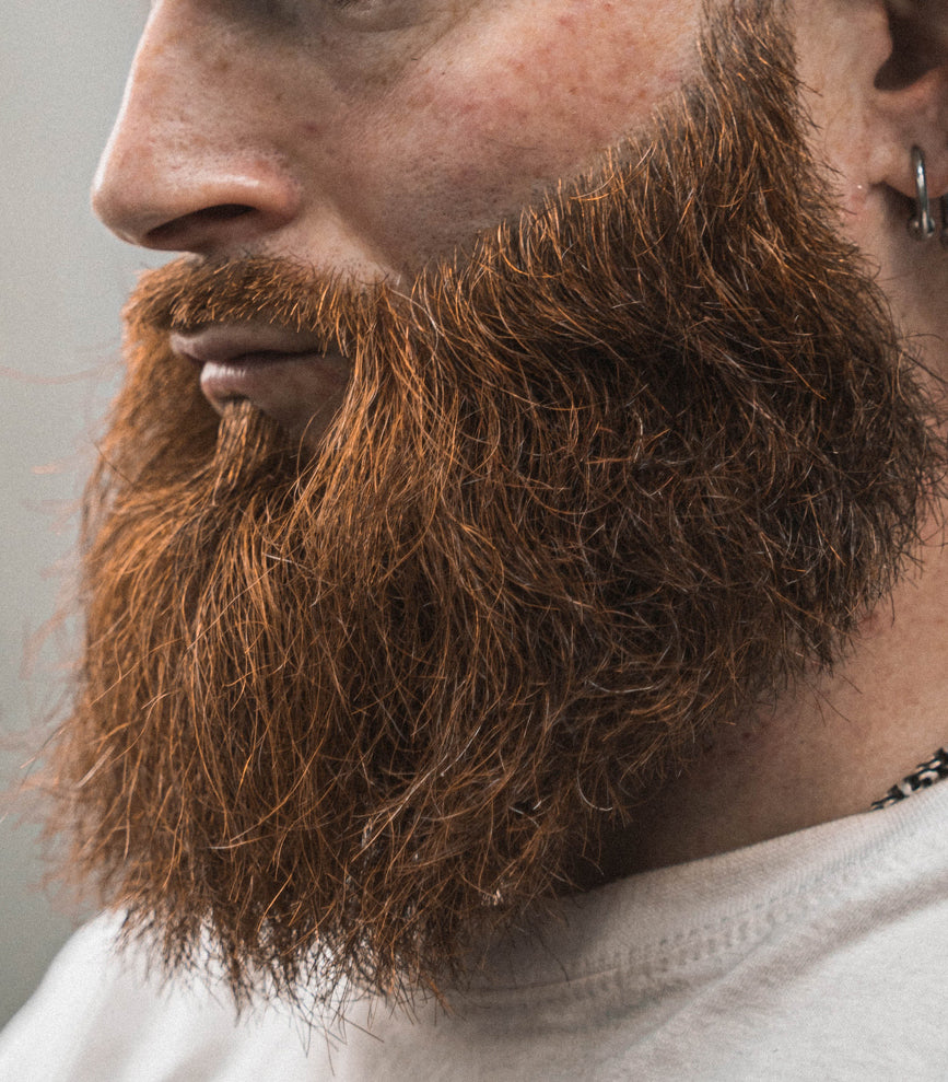 Barbe