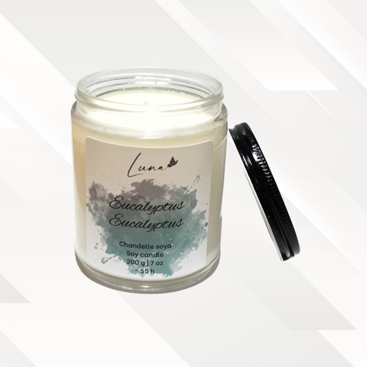 Eucalytus - Chandelle à la cire soya