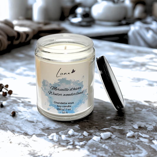 Merveille d'hiver - Chandelle à la cire soya