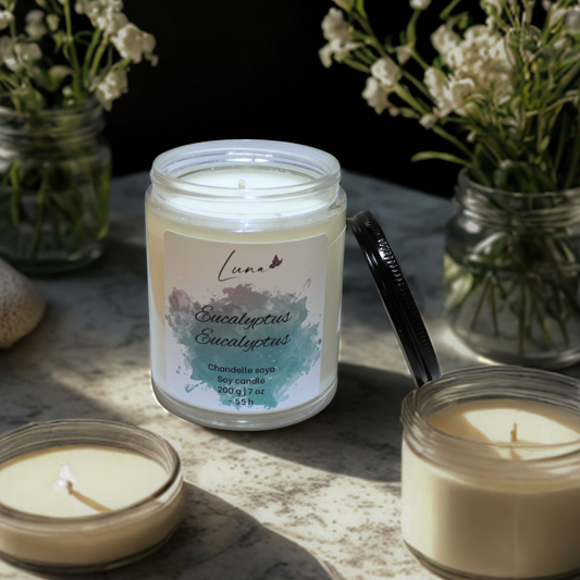 Eucalyptus - Chandelle à la cire soya